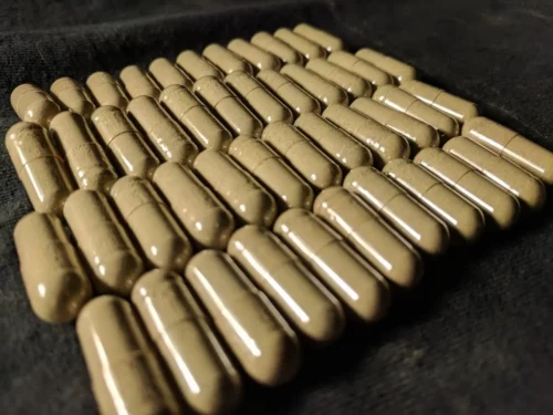 Red Bali Kratom Capsules in Rows from Socratic Solutions