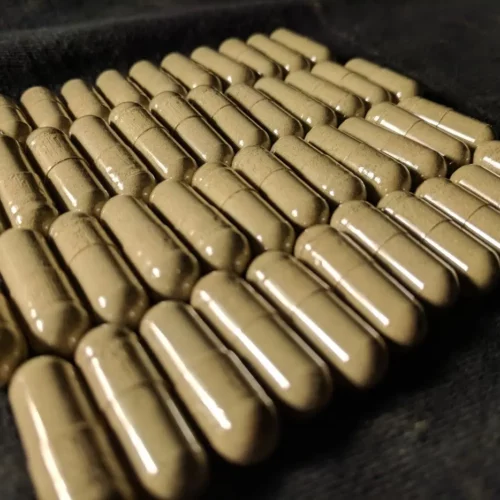 Red Bali Kratom Capsules in Rows from Socratic Solutions